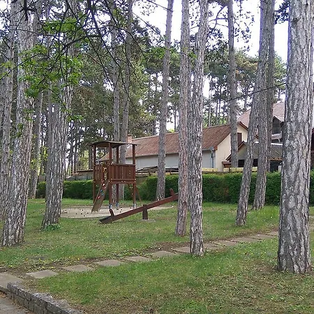 Green Garden
